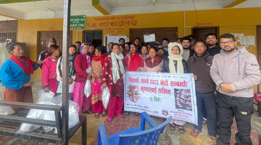 मकवानपुरगढीमा सिताके च्याउ खेतीको विस्तार